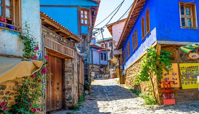  Visit the quaint Cumalıkızık village.