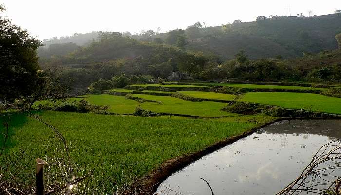 The total distance from Vizag to Araku can range anywhere between 113 km to 137 km and a road trip can take up to 4 hours