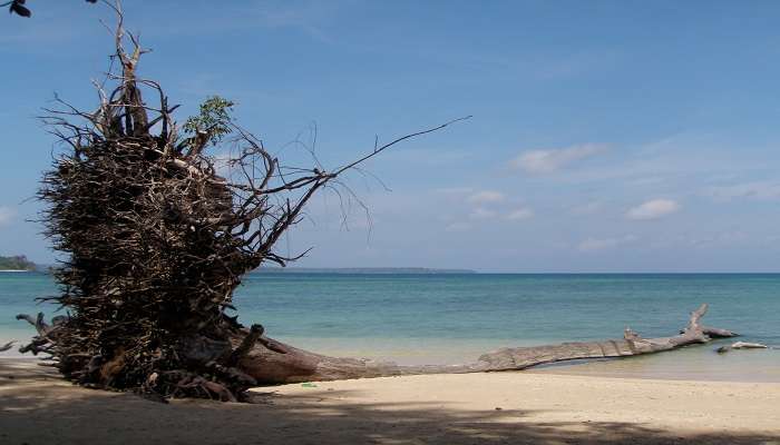 South Andaman Island tour: Wandoor Beach