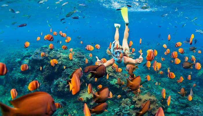 Snorkelling is a thrilling activity to do at Dolphin Resort Havelock Island