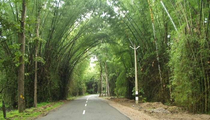 Visit the scenic Wayanad for a great experience