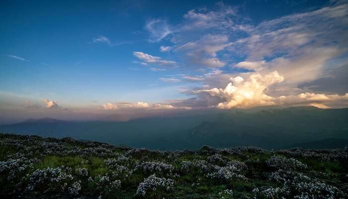 Breathtaking view of Western Ghats.