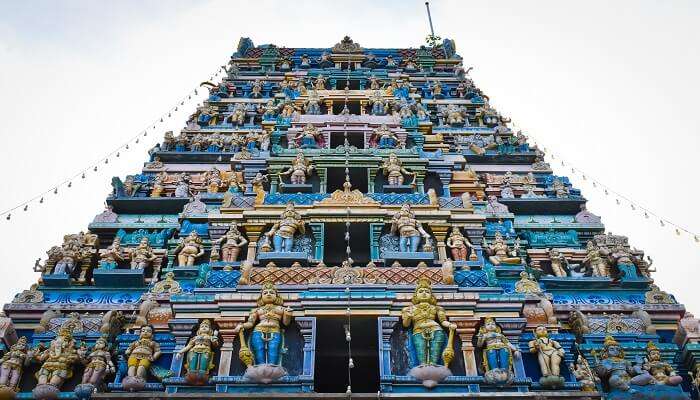 A gorgeous view of temple in Tamil Nadu