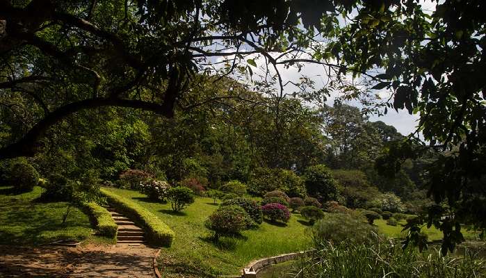  Scenic beauty of the Royal Botanical Garden