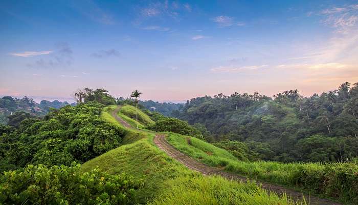 Take a look at the sunrise sky over the stunning Campuhan Ridge Walk in Bali