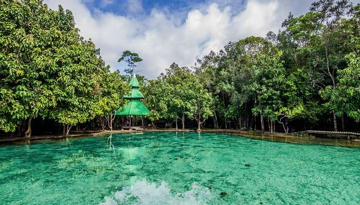 Discover the picturesque beauty of the Emerald Pool, Krabi’s hidden gem, in Thailand