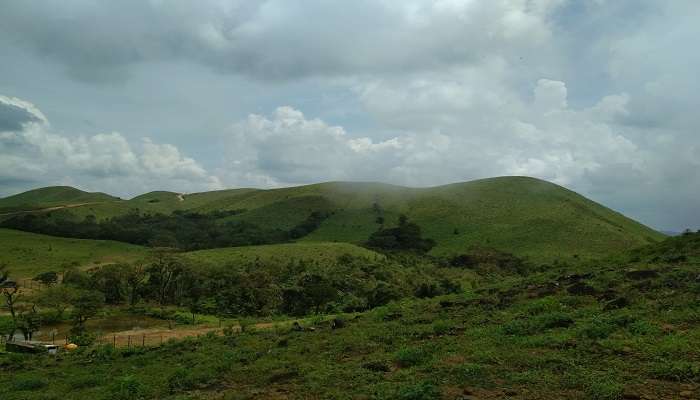 Mandalpatti Peak is covered with lush greenery and serves as a perfect backdrop for activities like photography