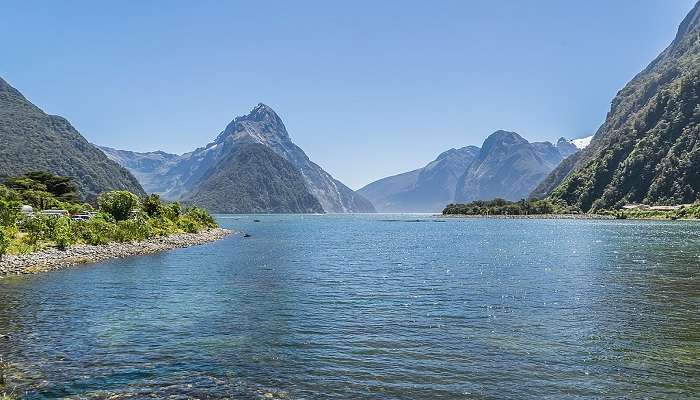 Milford Sound as viewed from a cruise