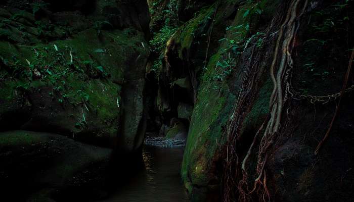 Pemandangan Ngarai Sungai Yelbong, salah satu tempat terbaik di Kalimpong