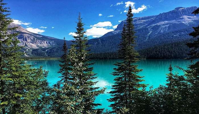 When you are on a road trip from Vancouver to Banff, experience the Emerald Lake at the Yoho National Park before moving further.