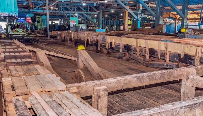You can learn about wood processing at the Chatham Saw Mill