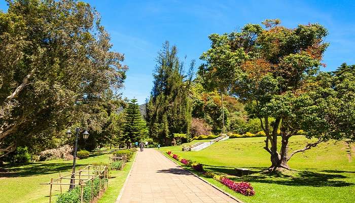 The stunning Victoria park in Nuwara Eliya