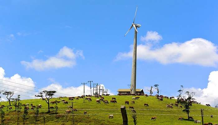 Mesmerising view of a windmill at the Ambewela Farm