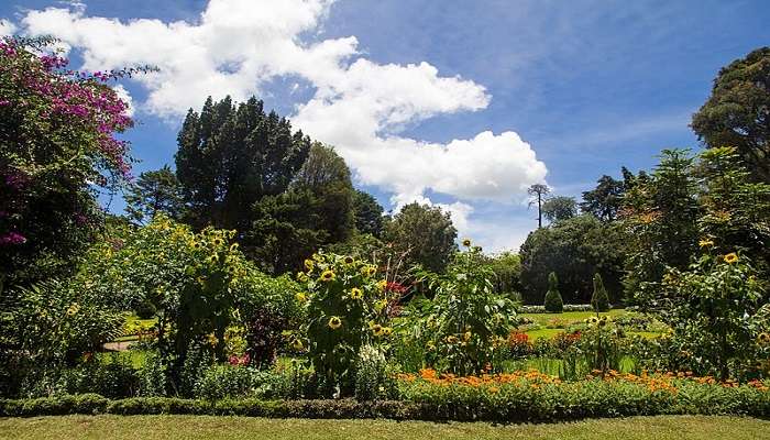Located in the centre of Nuwara Eliya, Victoria Park stretches for about 27 acres