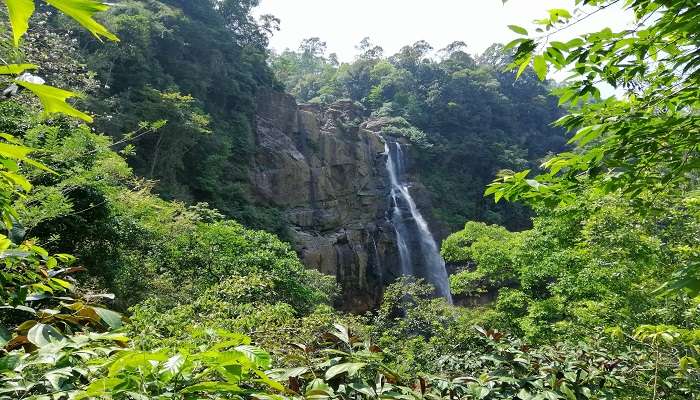 Water Plunging into Pool at Aberdeen Waterfall Sri Lanka