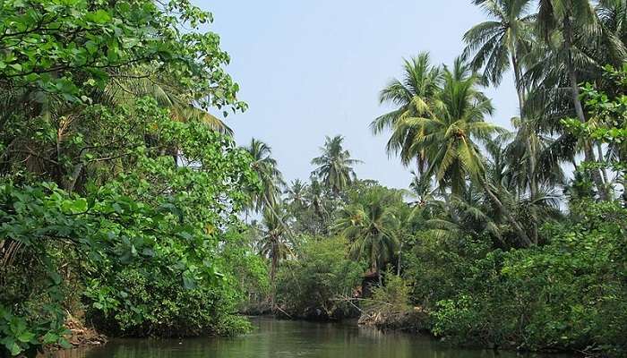 Visit the Hamilton Canal Negombo in Sri Lanka