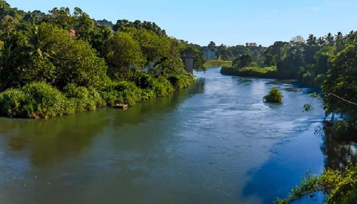The majestic Flowing Mahaweli River in Sri Lanka near Kothmale Hanging Bridge