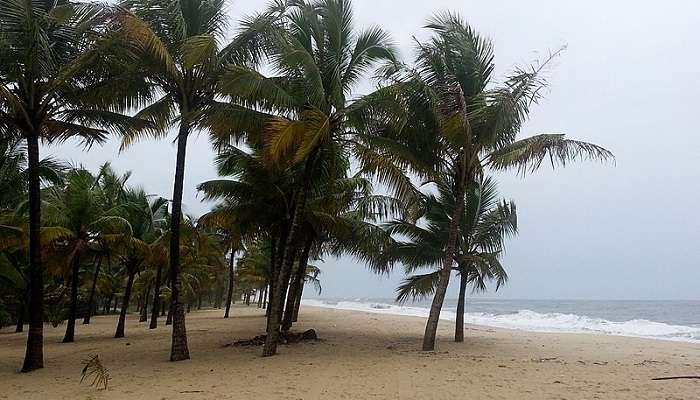 Serenity of Kerala Beaches in Mararikulam