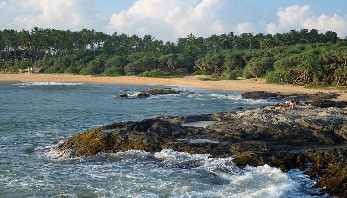  Rekawa Beach Sri Lanka is popular for sea turtle nesting grounds