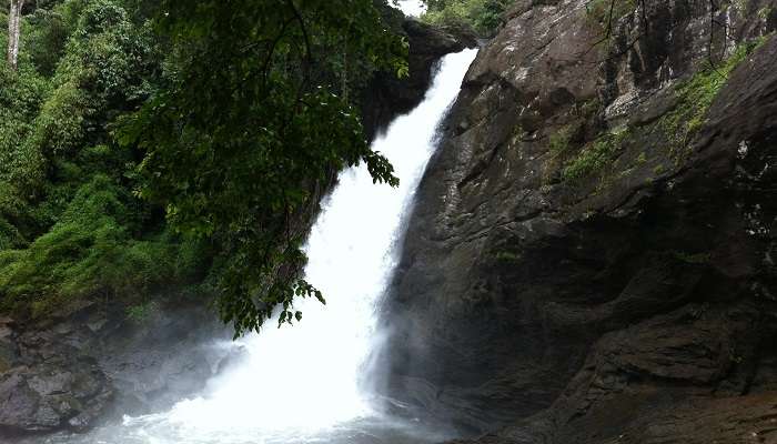 Explore the Soochipara Waterfalls in Kerala