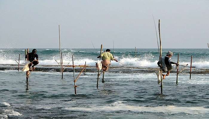  Things you must know about Stilt Fishermen Sri Lanka 