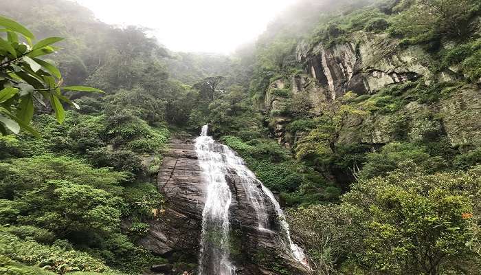 The Kolapathana Waterfall flows amidst nature