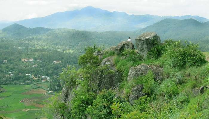 The Single Tree Hill is the seventh mountain in Sri Lanka