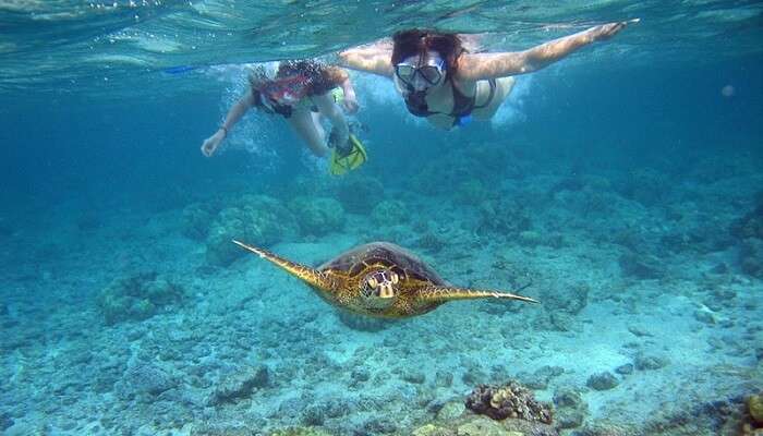 Snorkeling at Taprobane Island is a must