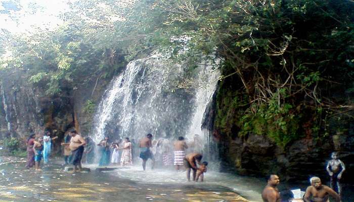  Agasthiyar falls, Tamil Nadu
