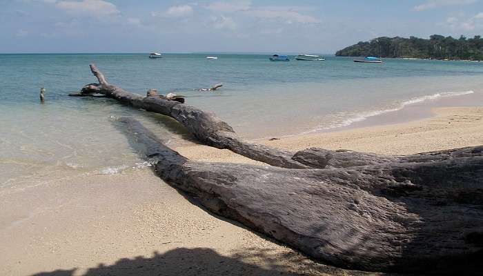 The beaches on Havelock Island boast a comfortable and pleasant weather throughout the year.