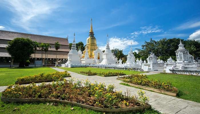 Buddhist temple Wat Suan Dok in Chiang Mai, Thailand: serene architecture, and rich history. 