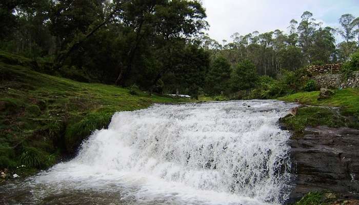 Cascading water falling from Bear Shola Falls
