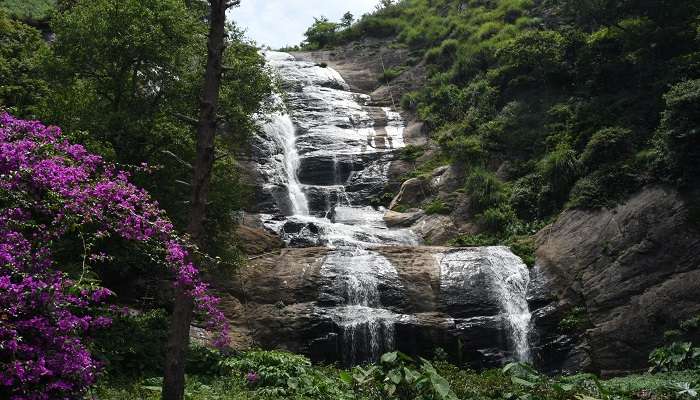 Bear shola falls tamilnadu