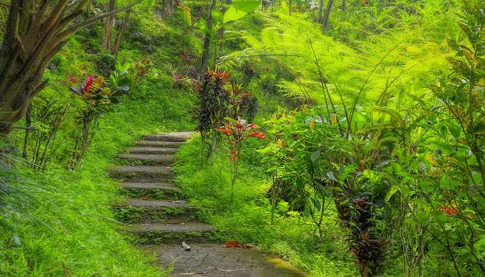 A beautiful hiking path of Bali to experience on a stay at Candidasa Beach Resort.