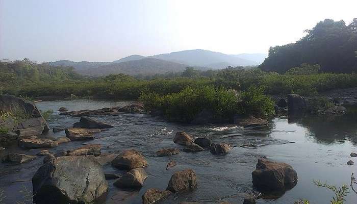  A picture of River Aghanashini. Benne Hole Falls is a tributary of this river.