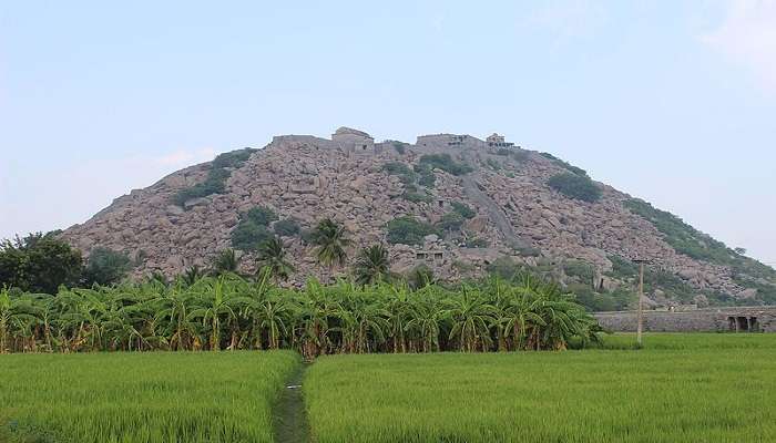 View of Gingee Fort Hill from a distance