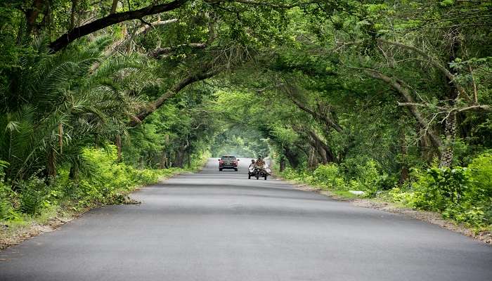 Know the best time to visit and how to reach Kondapalli Fort 