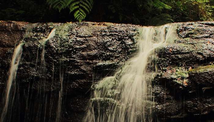 Best time to visit Vattakanal Waterfalls