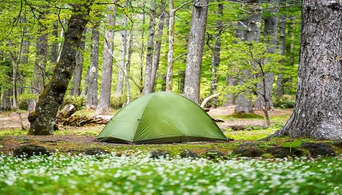 Camping in Binsar would give an Adventurous experience