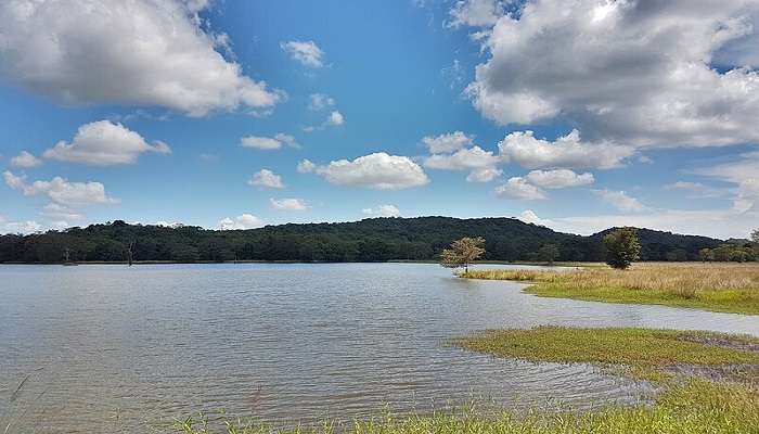 Water ponds at Kaudulla National Park 