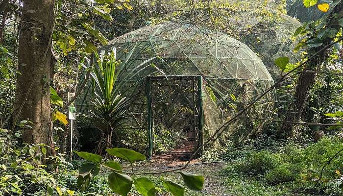 Explore the wide array of butterfly species at the Butterfly Research Center