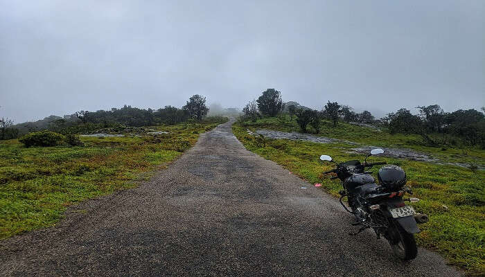 Green valleys in Coorg