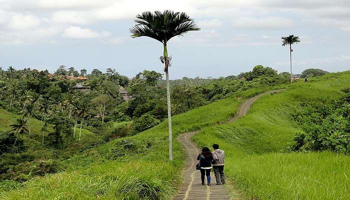 Beautiful green trails of Campuhan Ridge Walk near Agung Jagatnatha Temple