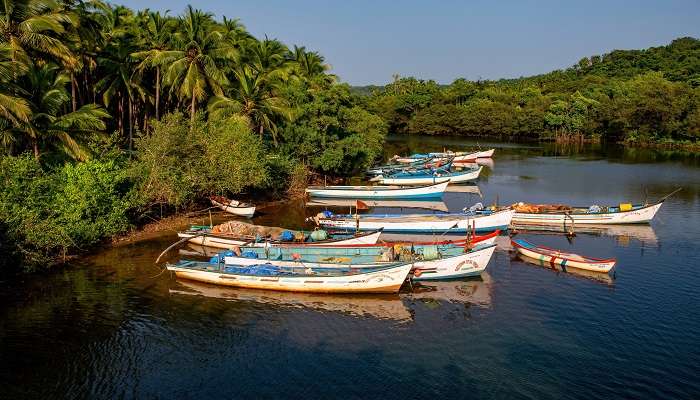 Canal de cumbarjua Backwaters, l’une des meilleurs endroits cachés de Goa