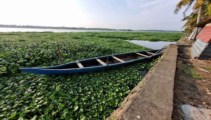 Canoe from Kerala floating on calm waters, reflecting the serene beauty of backwaters which is easily accessible from the Vaikom temple Kerala 