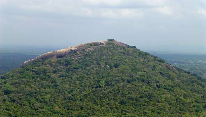  Magnificent View of Pidurangala Rock Near Sigiriya in Sri Lanka