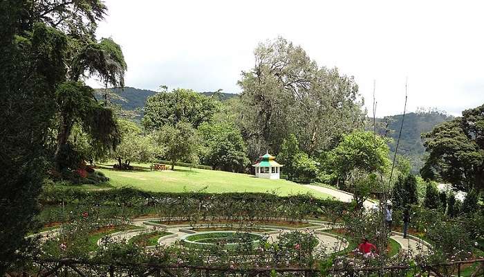 Hakgala Botanical Garden is full of flowers