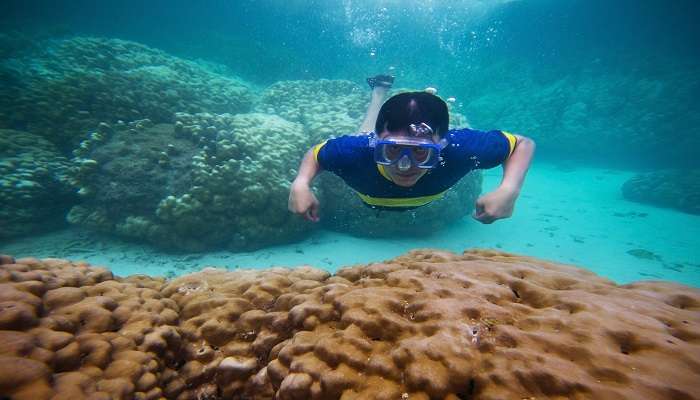 Beautiful corals