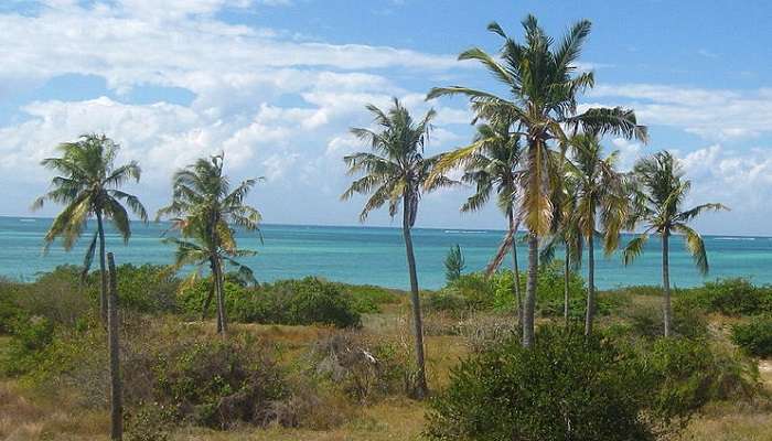 Scenic view of Coconut Beach