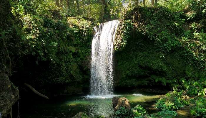 Majestic cascading waterfall amidst lush green forest in Corbett National Park